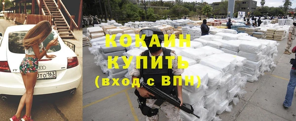 твердый Алексин