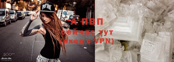 шишки Аркадак